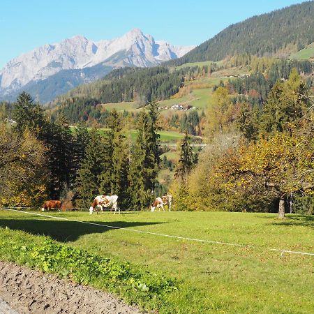 Villa Aubauer Bischofshofen Esterno foto