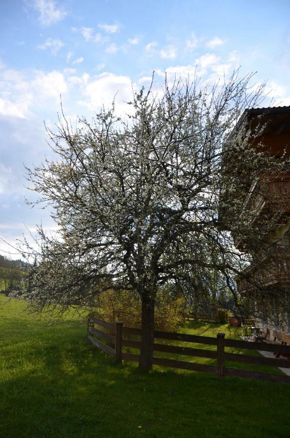 Villa Aubauer Bischofshofen Esterno foto