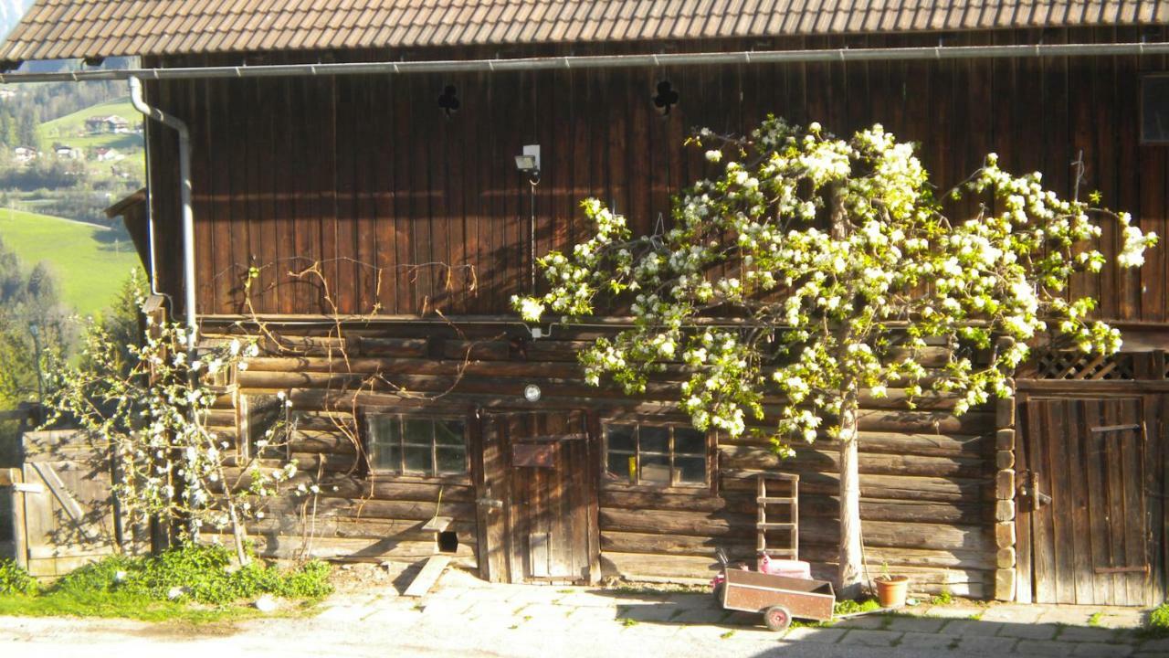 Villa Aubauer Bischofshofen Esterno foto