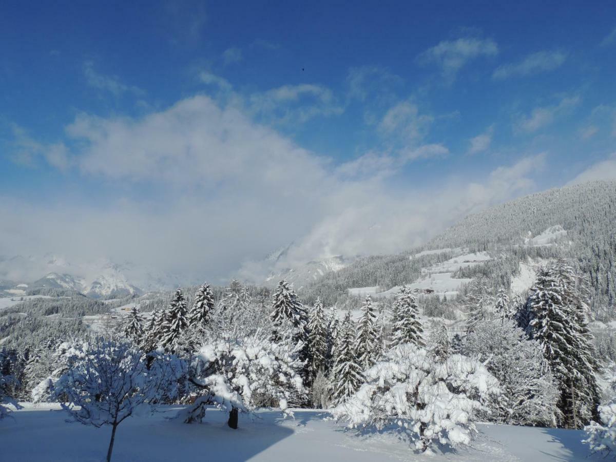 Villa Aubauer Bischofshofen Esterno foto